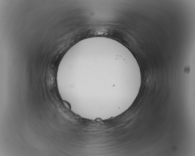 X0000111151442200907211152