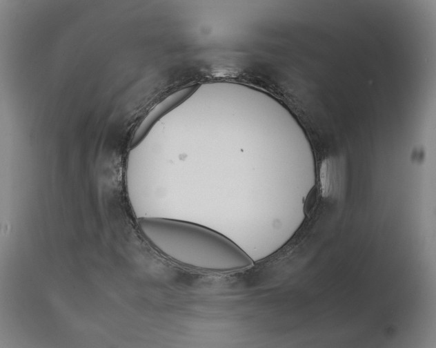 X0000111151443200907211152