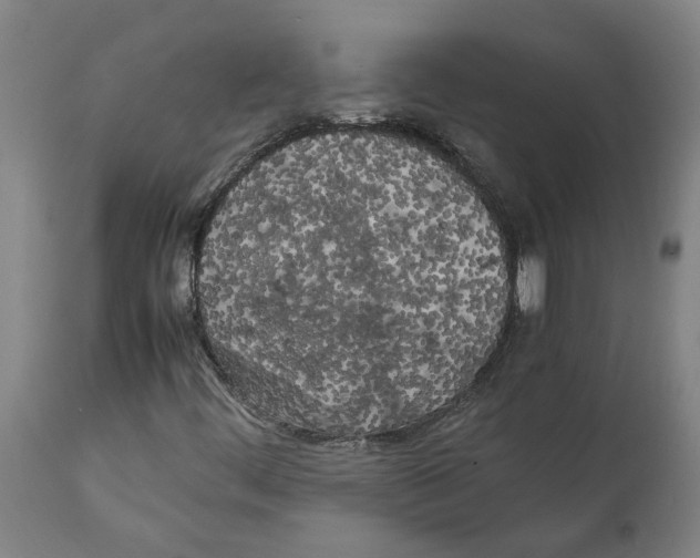 X0000111151444200907211152