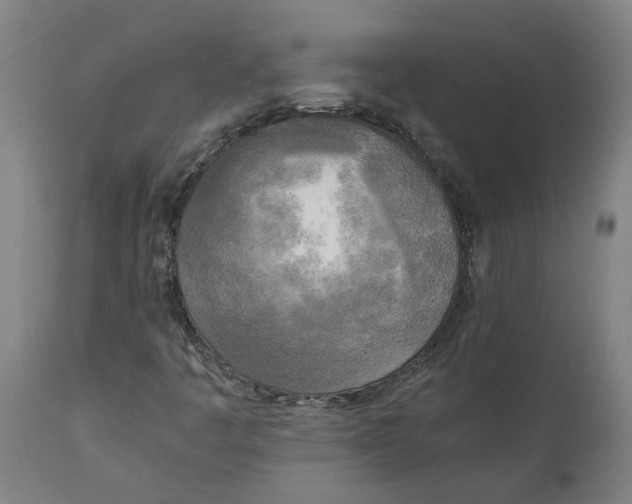 X0000111151445200907211152