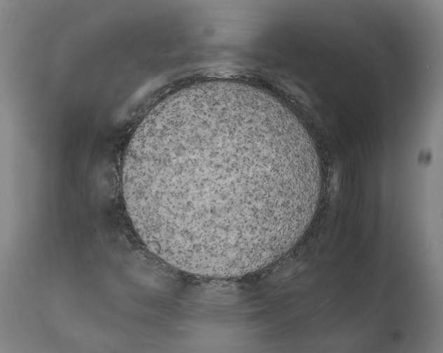 X0000111151446200907211152