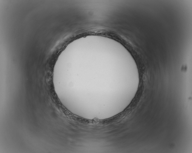 X0000111151447200907211152