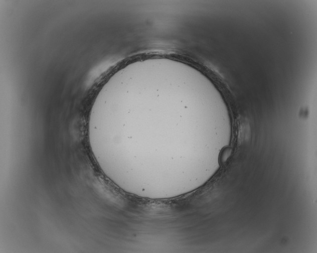 X0000111151448200907211152