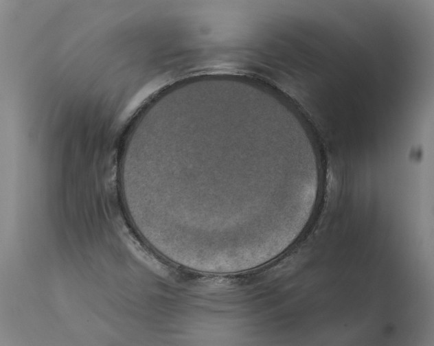 X0000111151450200907211152
