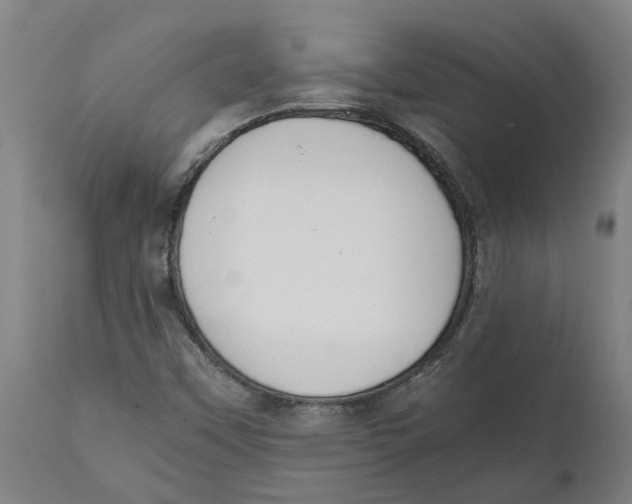 X0000111151451200907211152