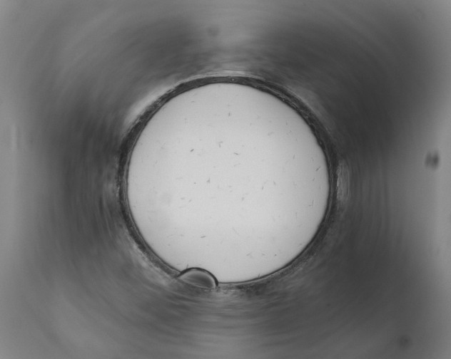 X0000111151452200907211152