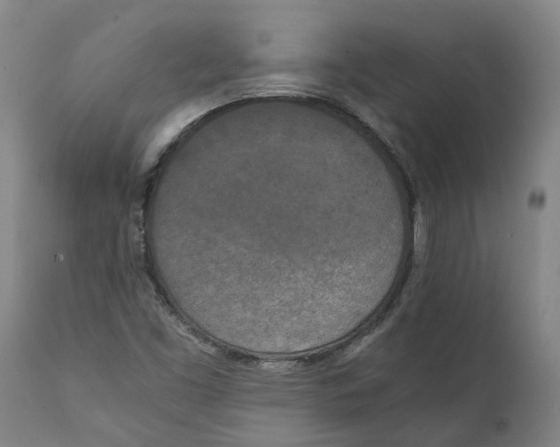 X0000111151453200907211152