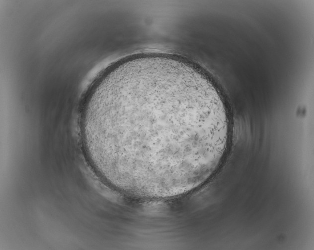 X0000111151454200907211152