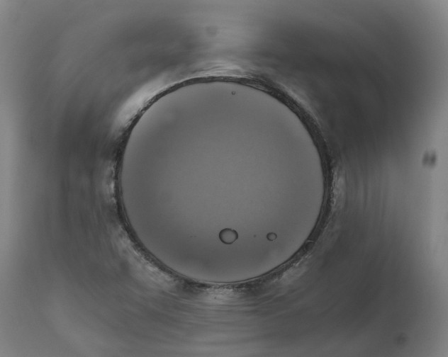 X0000111151455200907211152