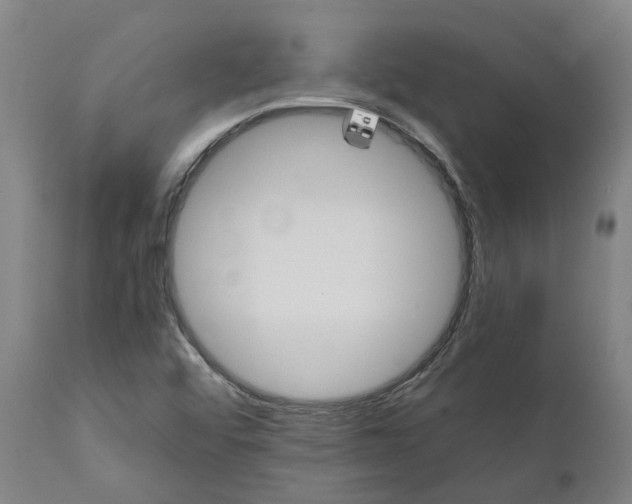 X0000111151456200907211152