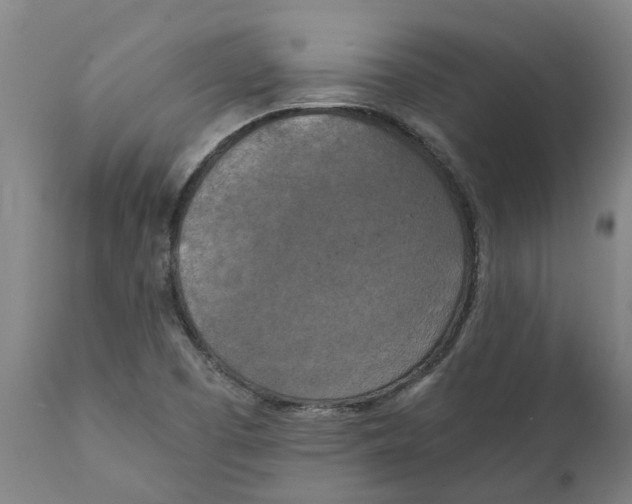 X0000111151457200907211152