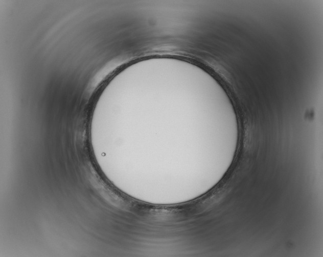 X0000111151458200907211152