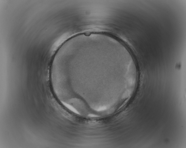 X0000111151459200907211152