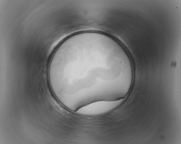 X0000111151460200907211152