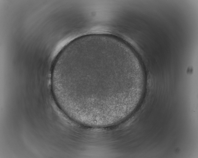 X0000111151461200907211151