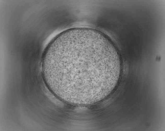 X0000111151462200907211151