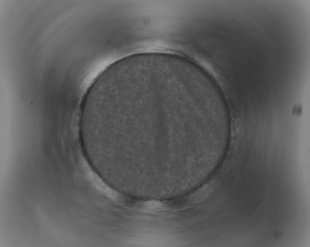 X0000111151463200907211151