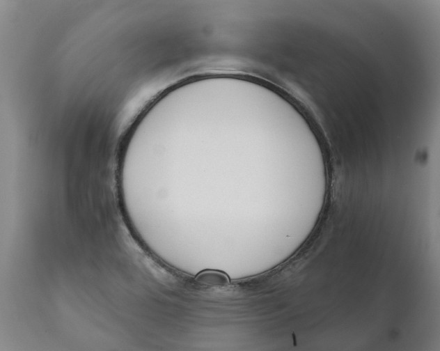 X0000111151464200907211151