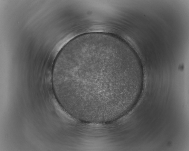 X0000111151465200907211151