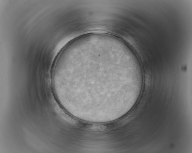 X0000111151466200907211151