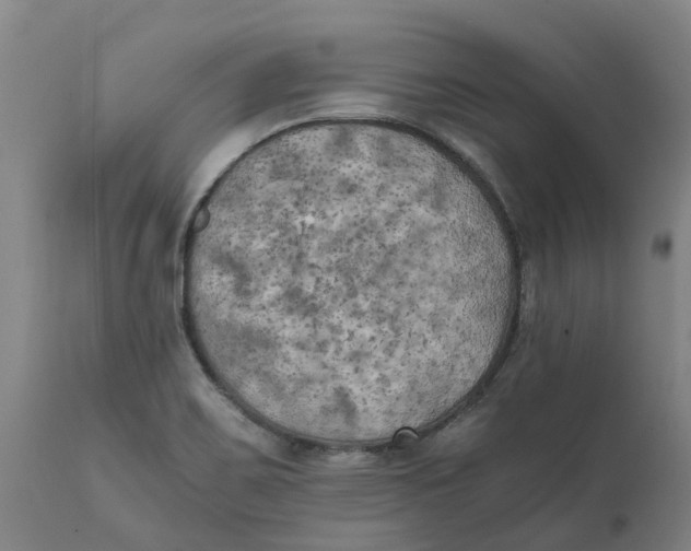 X0000111151467200907211151