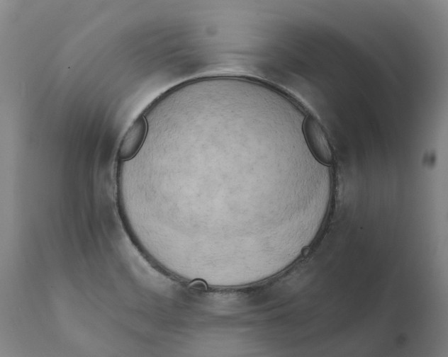 X0000111151468200907211151