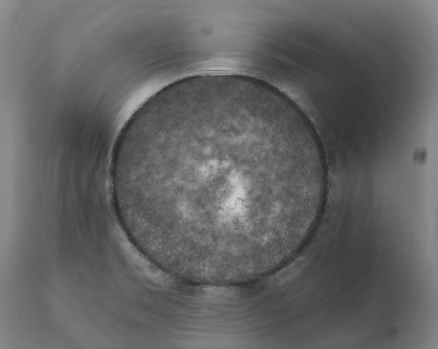 X0000111151469200907211151