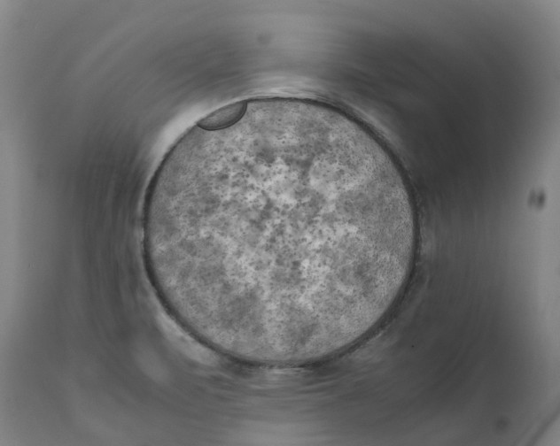 X0000111151471200907211151