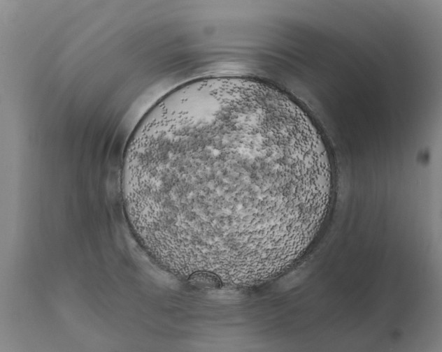 X0000111151473200907211151