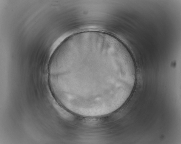 X0000111151474200907211151
