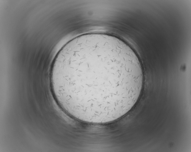 X0000111151475200907211151