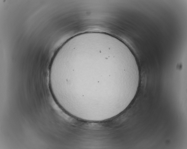 X0000111151476200907211151
