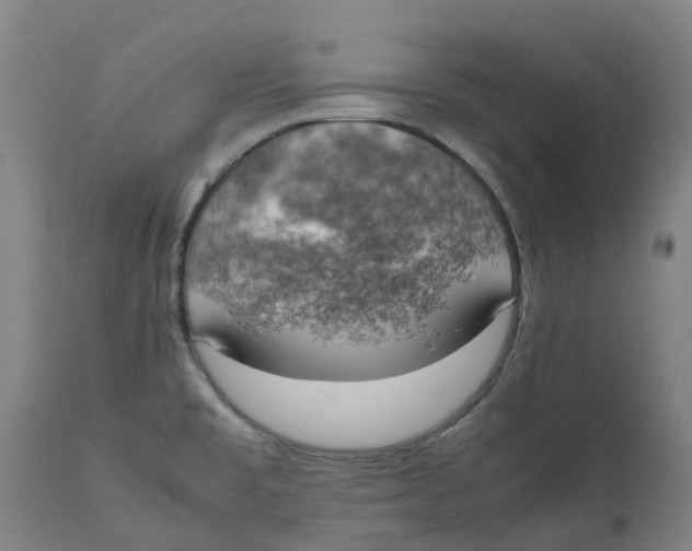 X0000111151477200907211151