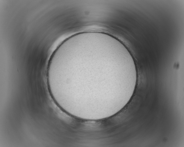 X0000111151478200907211151