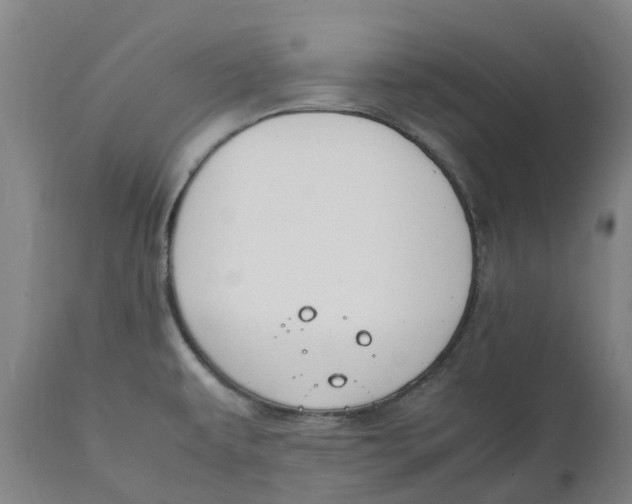 X0000111151479200907211151
