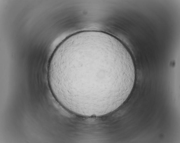 X0000111151480200907211151