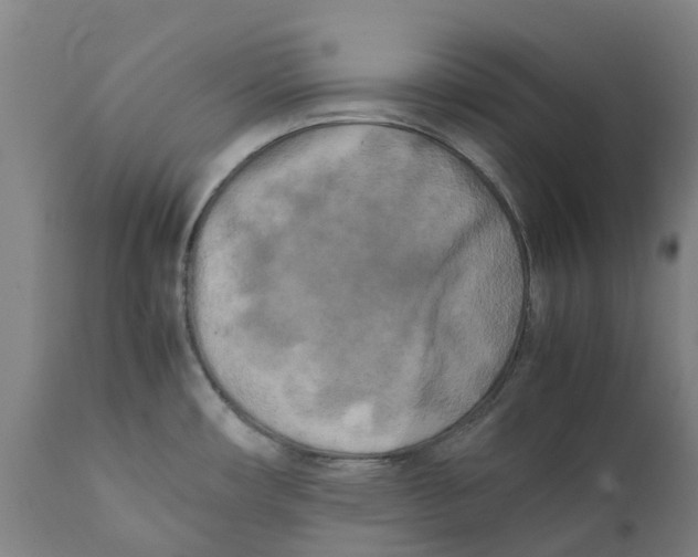 X0000111151482200907211151