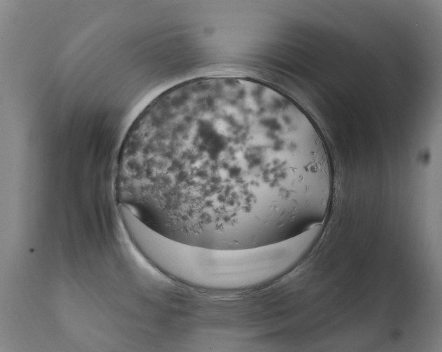X0000111151484200907211151