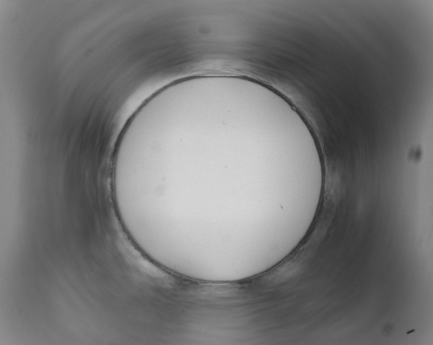 X0000111151486200907211151