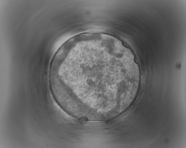 X0000111151487200907211151
