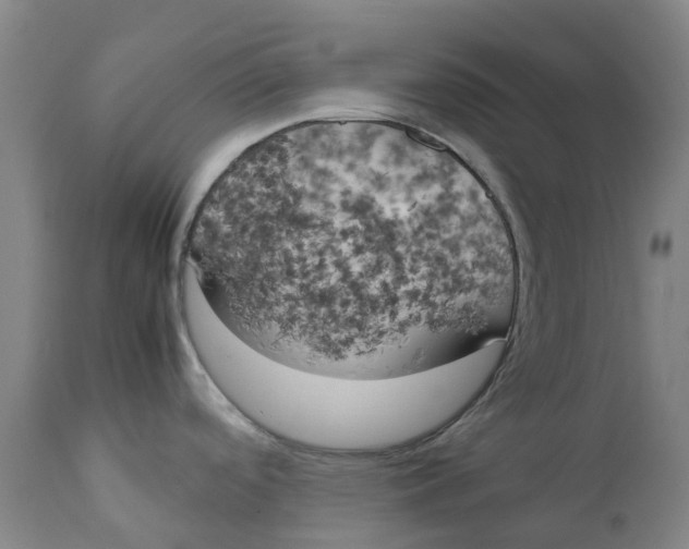 X0000111151488200907211151