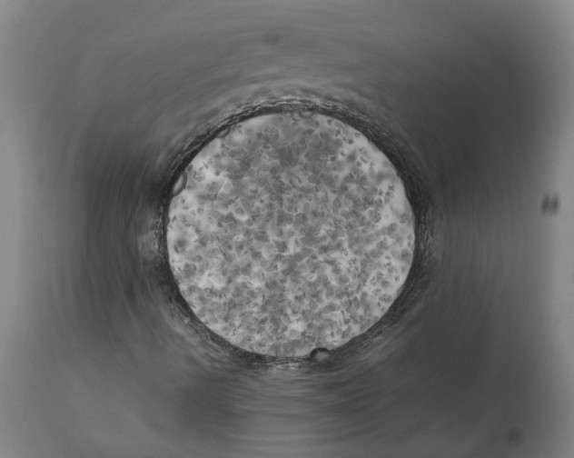 X0000111151490200907211150