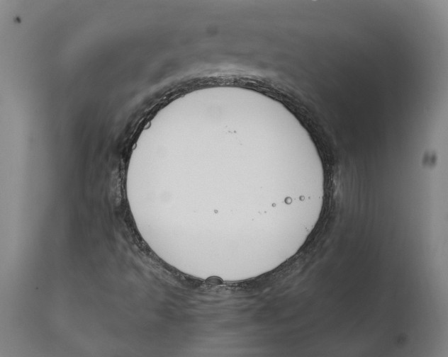 X0000111151493200907211150