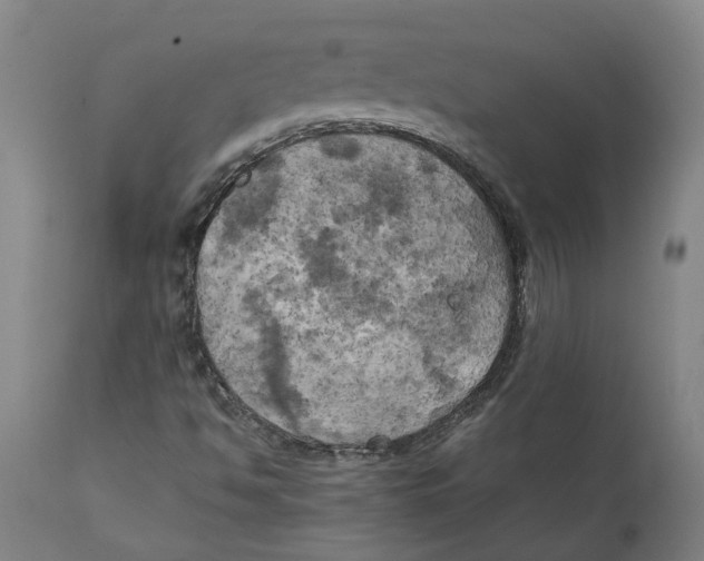 X0000111151494200907211150