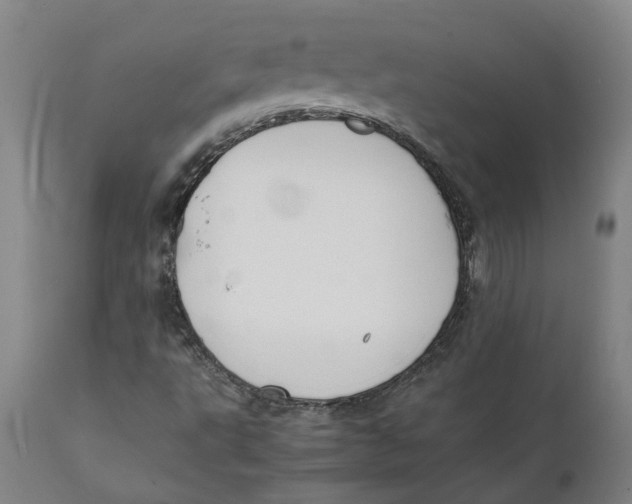 X0000111151495200907211150