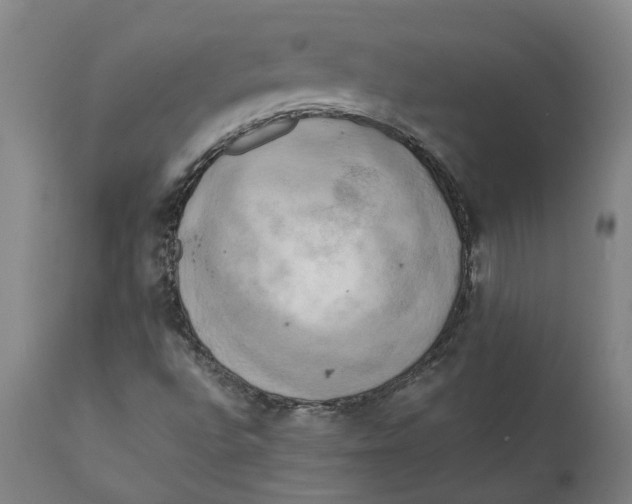 X0000111151496200907211150