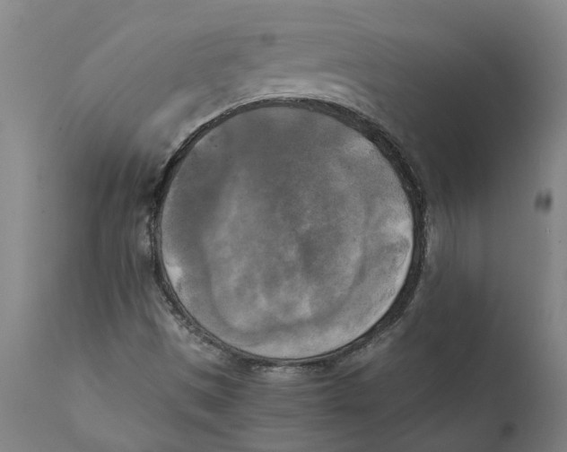 X0000111151497200907211150