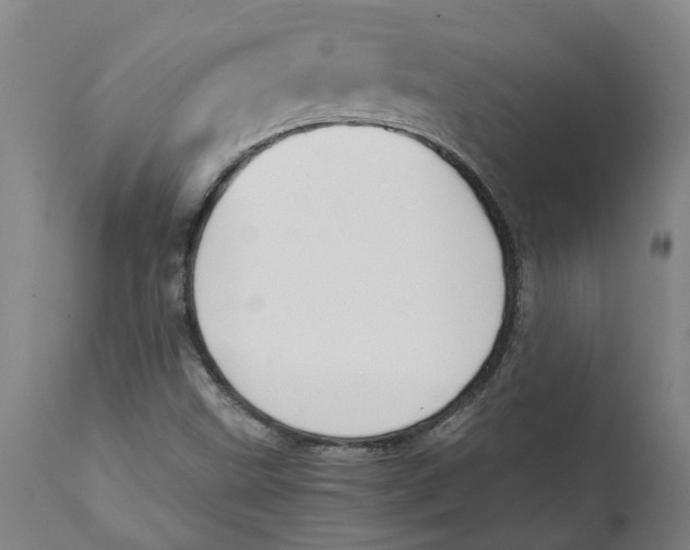 X0000111151499200907211150