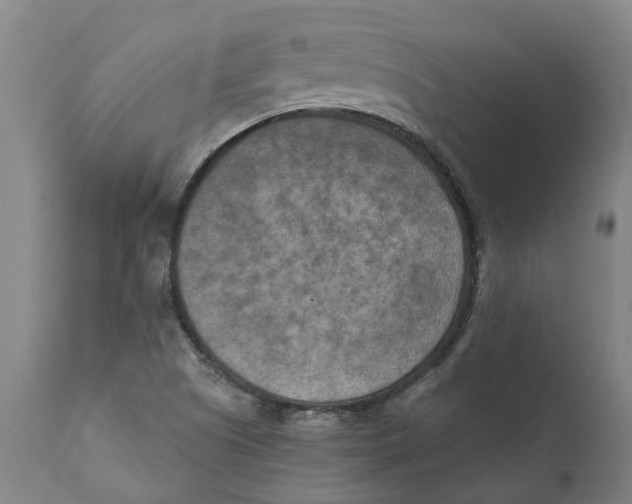 X0000111151505200907211150