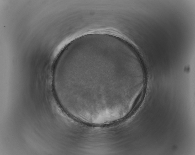 X0000111151506200907211150